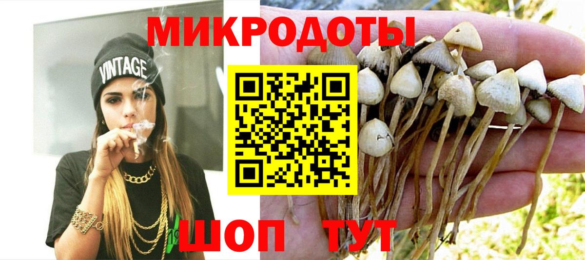 Псилоцибиновые грибы Psilocybe  Вход с VPN  Щёкино 